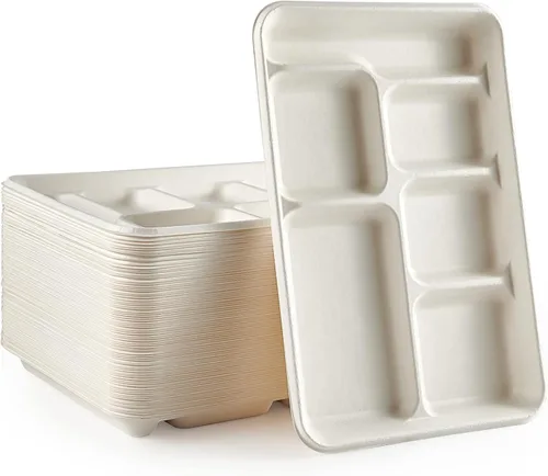 Vista 9 de Vplus Platos 100% compostables con 5 compartimentos, paquete de 125 platos ecológicos desechables de caña de azúcar de 10 x 8 pulgadas, bandeja