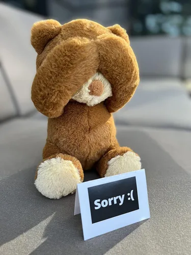 Vista 2 de Lindo regalo para ella y él - The I'm Sorry Teddies - Vergonzado adorable juguete de peluche súper suave - Regalo único lindo de oso de peluche