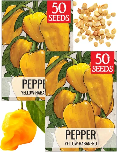 Vista 108 de Seed Needs - Semillas de pimiento arcoíris para plantar verduras, 1 paquete