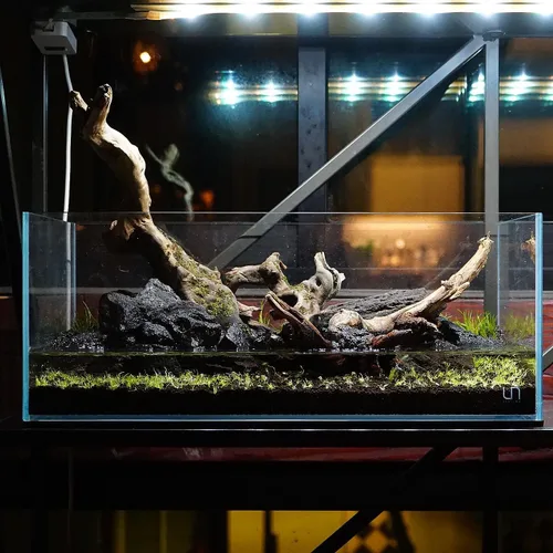 Vista 8 de Ultum Nature Systems Controsoil - Sustrato de suelo acuático de agua dulce para peces, camarones, propagación de plantas vivas y paisajismo acuático