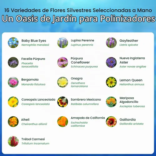 Vista 3 de Mezcla de semillas de flores silvestres Bee & Butterfly, 30,000 semillas