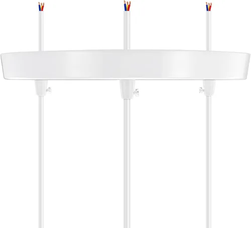 Vista 5 de Kit de toldo de lámpara de araña Canomo de 10 pulgadas con placa de luz de techo y todos los accesorios, incluye gancho, sujetador de cable