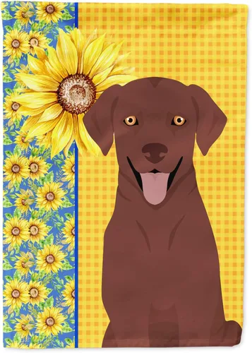 Vista 211 de Caroline's Treasures WDK5313GF Bandera de jardín con diseño de girasoles de verano, color negro y tostado, Airedale Terrier para buzón, bandera