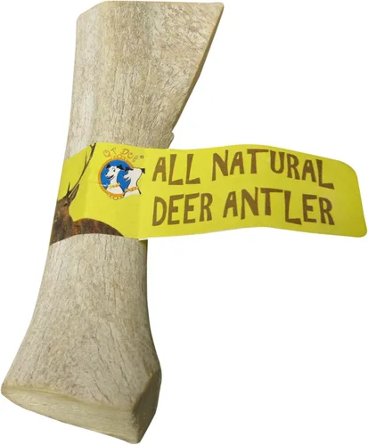 Vista 2 de QT Dog Medium Antlers - Masticable para perros 100% natural de larga duración, lleno de proteínas de origen ético y masticadores dentales bajos