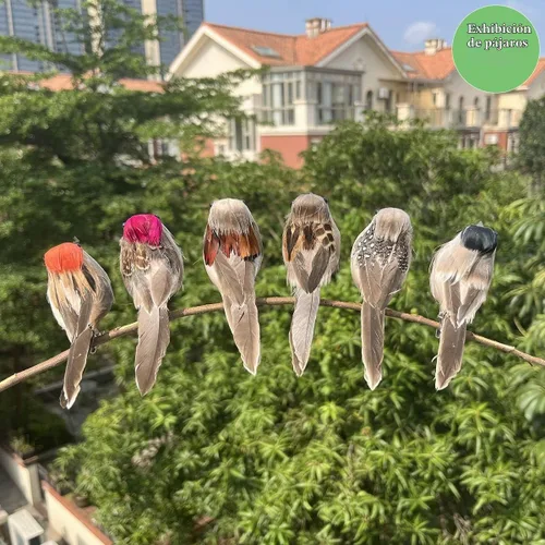 Vista 6 de LWINGFLYER 6 piezas de espuma artificial de simulación de pájaro gorrión adornos con clip en pájaros decorativos con plumas para decoración de árbol
