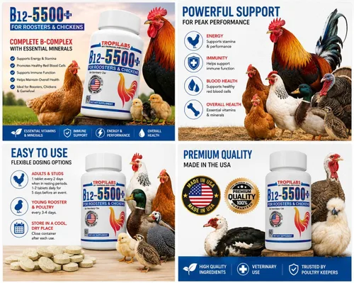 Vista 2 de Farmalab B12 5500 Plus para gallinas aves de corral Gamefowl Plus para Gallos Gallinas Pollos Aves de Corral