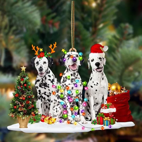 Vista 52 de Nazenti Adorno de Navidad personalizado con amigos Affenpinscher – Adorno de perro personalizado para amantes de las mascotas, acrílico plano