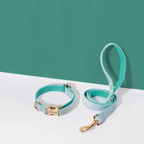 Vista 3 de Juego de arnés de terciopelo, regalo para dueños de mascotas, collar personalizado con nombre y número de teléfono, collar y correa personalizados