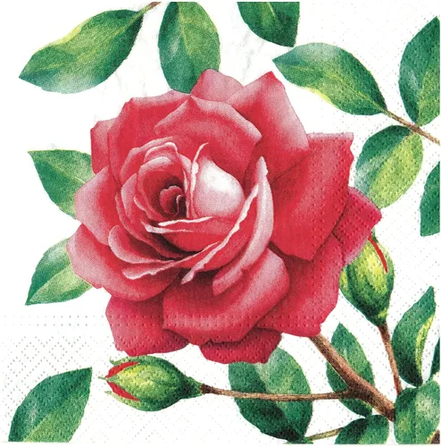 Vista 16 de English Roses Bird - Servilletas de papel bonitas, 20 servilletas florales de 13 pulgadas, servilletas suaves de 3 capas para fiesta de jardín