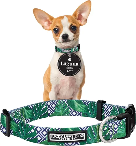 Vista 93 de Lucky Love Dog - Collar para perras pequeñas, diseño Blackbird de estampado alegre con flores de primavera y verano, talla XS Collar Blackbird