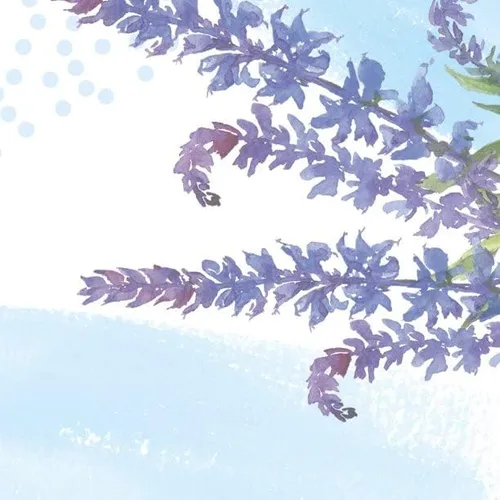 Vista 3 de Secret Antitranspirante y desodorante invisible, lavanda limpia, 2.6 onzas (paquete de 4)