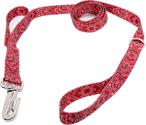 Vista 20 de Country Brook Design® Correa para perro Native Arizona de 1 pulgada - 6 pies Arizona nativa