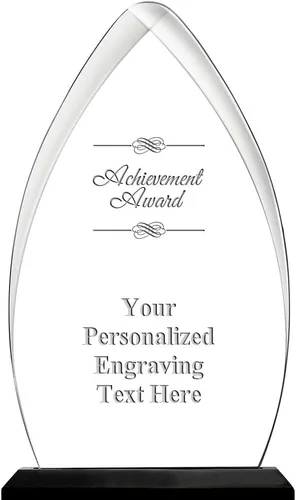 Vista 31 de Crown Awards Premio acrílico personalizado de 9.25 pulgadas de Gateway Skyline