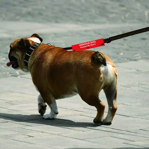 Vista 6 de Divertida correa de perro Anxious Dog Respect My Space - Correa de perro envolvente para alerta colgante con parche de identificación