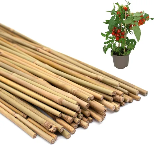 Vista 7 de 35 piezas de estacas para plantas, estacas de jardín de bambú natural premium, varillas de bambú de soporte para plantas de interior y exterior