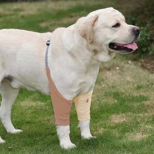 Vista 9 de Protector de codo para perro, mangas para perros para heridas y patas delanteras, mantiene la herida del codo limpia, con acolchado