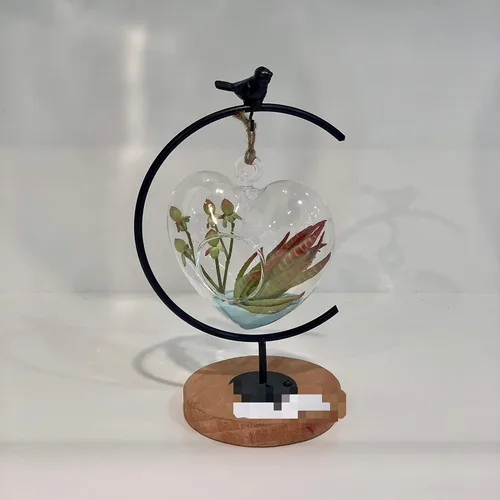 Vista 4 de WGV - Terrario colgante de cristal para plantas, ancho 5 pulgadas, altura 5 pulgadas, corazón de San Valentín, maceta de aire para suculentas, luz