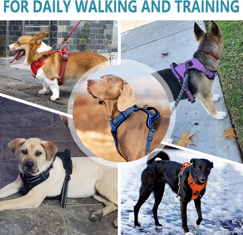 Vista 5 de Arnés sin tirones para perros pequeños, medianos y grandes, chaleco reflectante ajustable para mascotas con clip frontal acolchado para cachorros