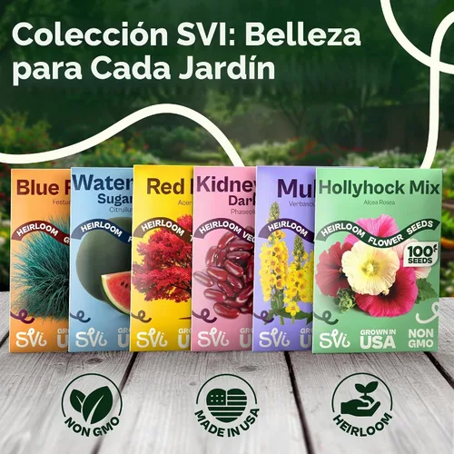 Vista 7 de Queen Anne 's Lace- 200 semillas – 50% de descuento venta