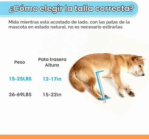 Vista 5 de TailWaggers Silla de ruedas para perros para patas traseras Ayuda de movilidad ajustable Ruedas todo terreno