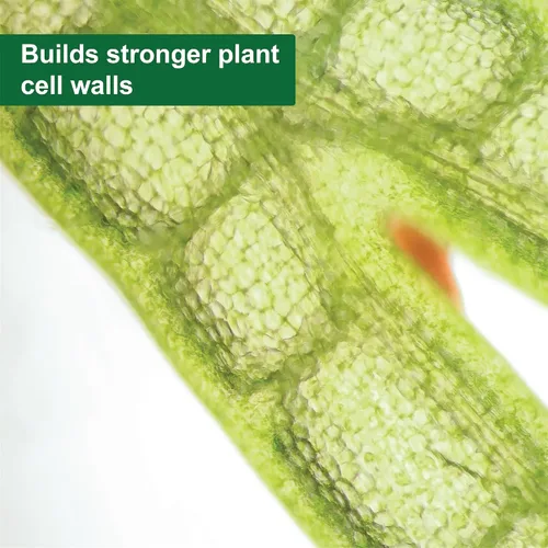 Vista 4 de Dyna-GRO® Pro-Tekt® 0-0-3 Suplemento de silicona para plantas, 1 cuarto de galón