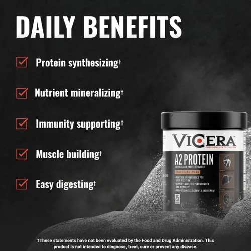 Vista 7 de VICERA A2 Polvo de Proteína, Leche de Chocolate, 25 G de Proteína por Porción, Mezcla Orgánica de A2/A2 de Suero y Caseína con Probióticos y Sal