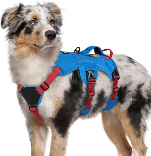 Vista 31 de rabbitgoo Arnés de perro a prueba de escape para pequeños, sin tirones con Negro