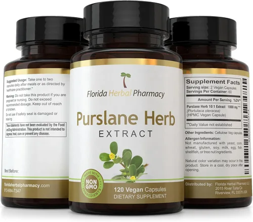 Vista 4 de Florida Herbal Pharmacy, Cápsulas de suplemento de extracto de hierbas de verdolaga 10:1 (120 cápsulas)