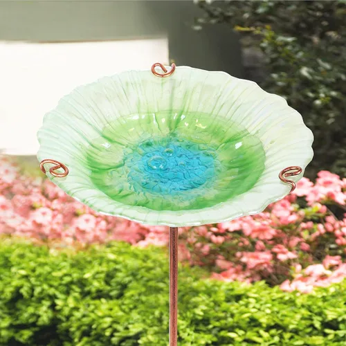 Vista 3 de Baño de cristal para pájaros, comedero verde para pájaros