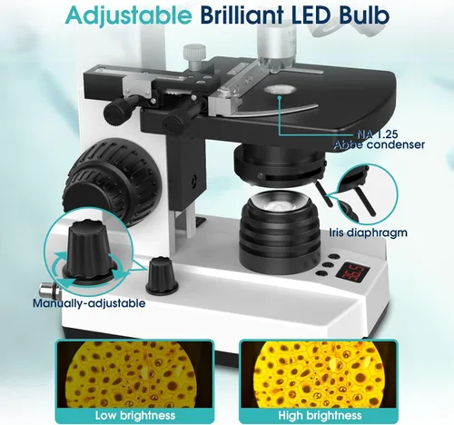 Vista 5 de Microscopios monoculares compuestos de laboratorio con temperatura constante, microscopio de doble visión para adultos estudiantes con aumento
