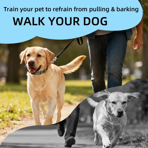 Vista 2 de Collar de entrenamiento de punta para perros, collar de pellizco ajustable para perros con hebilla de liberación rápida, collar sin tirones