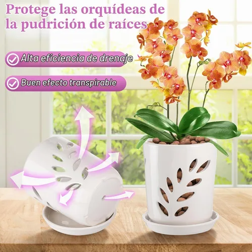 Vista 3 de Olla de orquídea de cerámica Aulock de 4 pulgadas con agujeros de drenaje