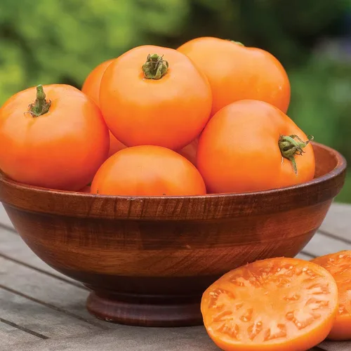 Vista 12 de Burpee 'Big Rainbow' Heirloom, Tomate Grande Beefsteak para Rebanar, 100 Semillas Sin OGM