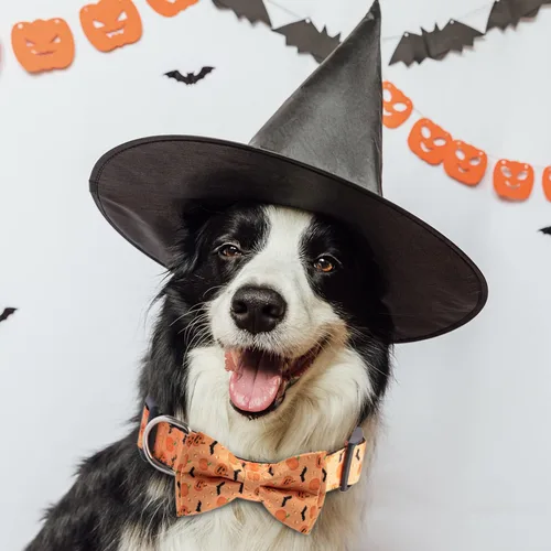 Vista 3 de TDTOK Collar de perro de Halloween con corbatín ajustable para Halloween, collar espeluznante para perro con hebilla de plástico ecológica