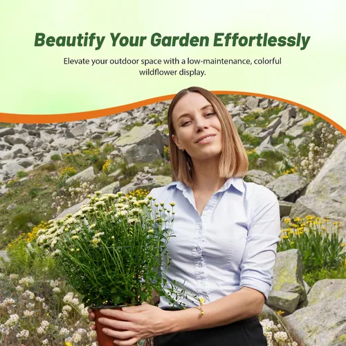 Vista 6 de Outsidepride Perennial Rock Garden - Mezcla de semillas de flores silvestres, 5000 piezas, fácil de cultivar, tolerante a la sequía, mezcla colorida