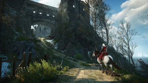 Vista 7 de The Witcher 3 Wild Hunt Complete Edition (Nintendo Switch)