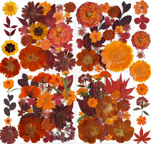 Vista 9 de 150 piezas de flores azules secas prensadas con pegatinas de mariposas - Juego de flores naturales reales de YouthBro para manualidades de resina