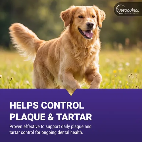 Vista 4 de Vetoquinol Dentahex - Enjuague de higiene bucal para mascotas, 8 onzas