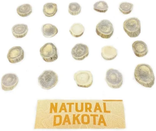 Vista 3 de Cuernas/rebanadas de cuernos de ciervo Dakota natural (manualidades, fabricación de joyas, suministros de reborde) (pequeño)