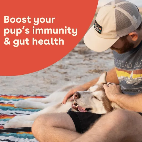 Vista 6 de Pupford Suplemento de salud intestinal e inmunidad para cachorros y perros adultos, fabricado en los Estados Unidos, aprobado por veterinarios, sin