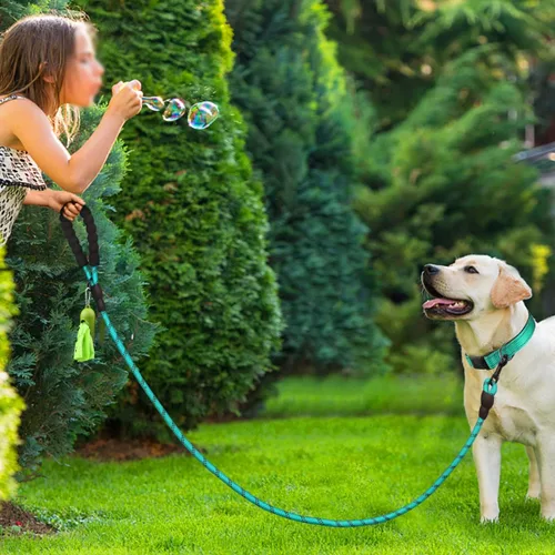 Vista 5 de Dynmeow Juego de collar y correa reflectante para perro, correa de cuerda de escalada fuerte de 6 pies con mango acolchado, collar ajustable