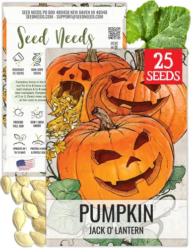 Vista 12 de Seed Needs Semillas de calabaza para plantar calabazas pequeñas de tarta de azúcar, semillas de verduras sin OMG y sin tratar para plantar un huerto