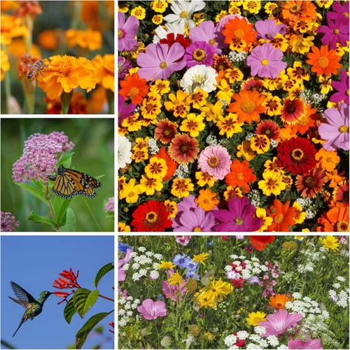 Vista 3 de Colección de agitador de semillas de flores silvestres para polinizadores - ~300,000+ semillas de flores silvestres para plantar - Incluye mezclas