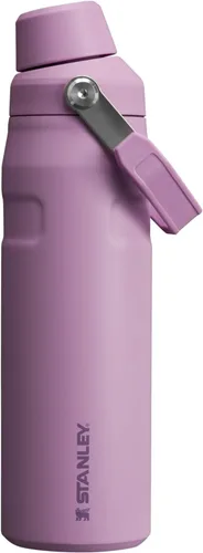 Vista 52 de STANLEY IceFlow Botella de agua de flujo rápido de 24 onzas Tapa con boquilla inclinada Ligera y a prueba de fugas para viajes y deportes Polar