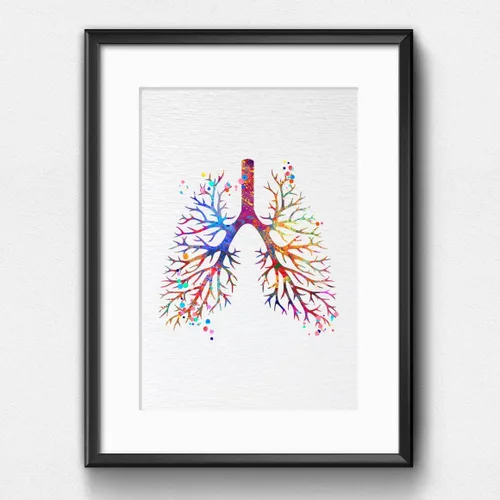 Vista 4 de Dignovel Studios 8X10 sin marco pulmonar anatomía humana acuarela arte impresión cartel ciencia médica inauguración casa giclée oficina decoración