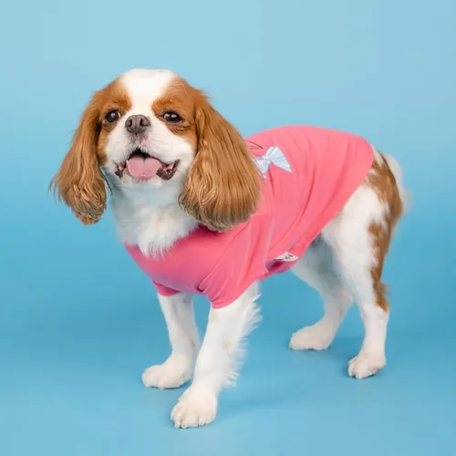 Vista 5 de Doggy Parton Para Mirar Esta Camiseta Barata - XS