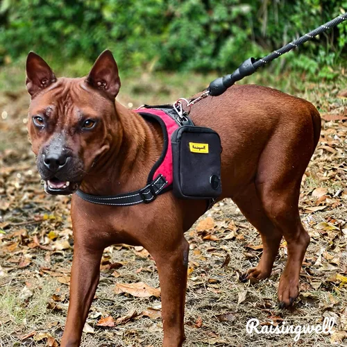 Vista 7 de Bolsa de golosinas para perros Raisingwell para caminar y entrenar con clicker, bolsas para excrementos pequeñas, riñonera con cierre, kit de A1.