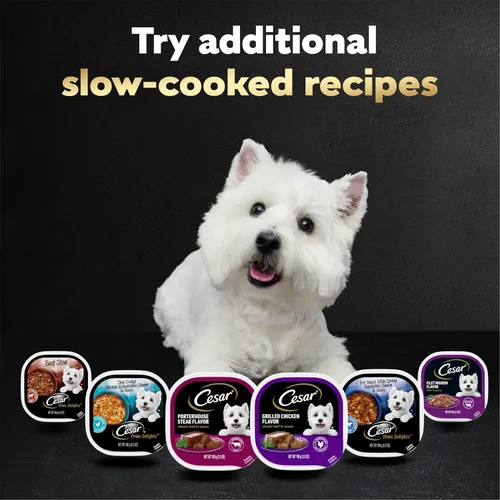 Vista 7 de Cesar Loaf and Delights - Alimento húmedo para perros, amantes de la variedad, 36 unidades, paquete de 2