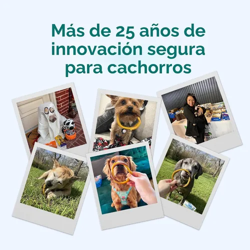 Vista 8 de N-Bone Anillos de dentición para cachorros sin granos, sabor a pollo, masticables naturales para dentición de cachorros, ayuda a calmar las encías