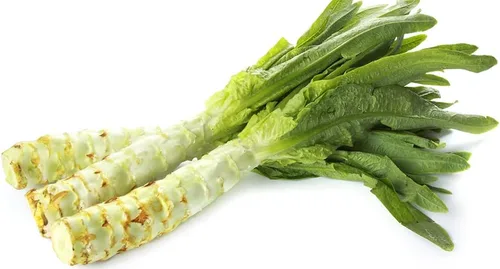 Vista 4 de Semillas Espárragos Lechuga Celtuce - 65 Días para Ensalada - Vegetales de reliquia - Sin OGM
